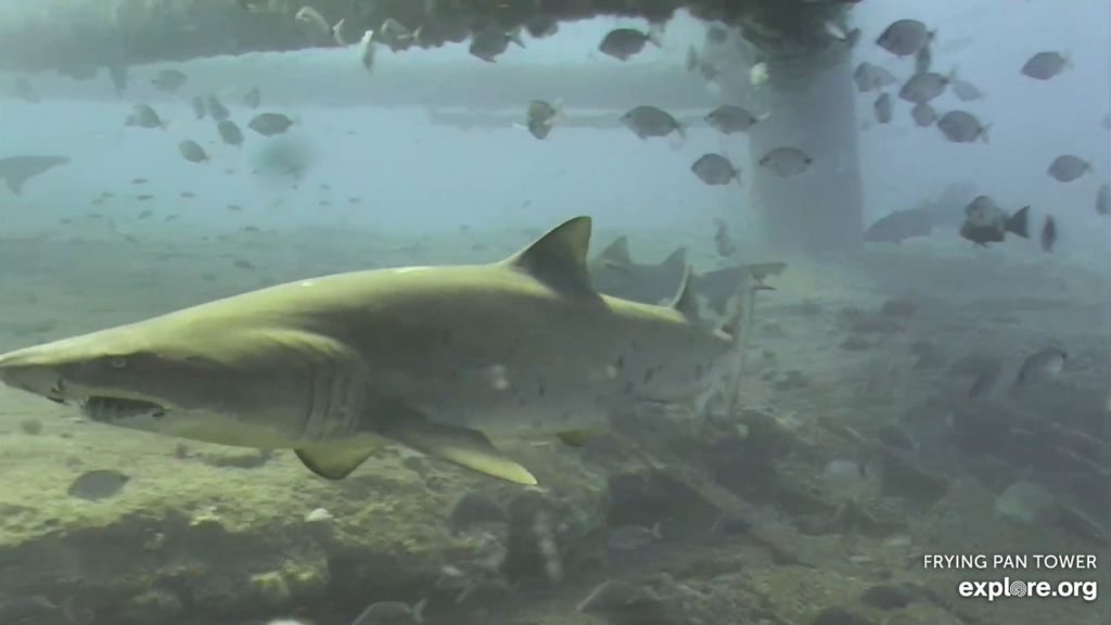 68eabb0f-38d0-4c6c-a115-06552c65067c