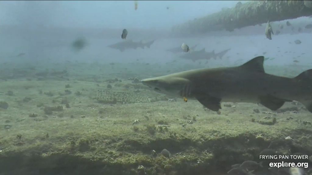 68eabb0f-38d0-4c6c-a115-06552c65067c