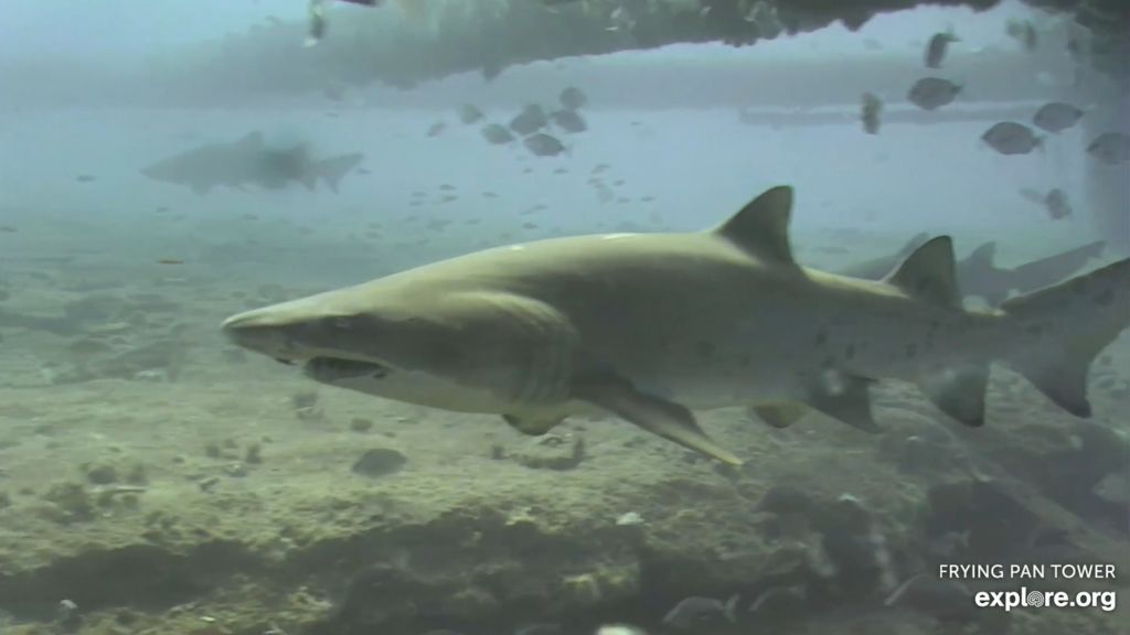 68eabb0f-38d0-4c6c-a115-06552c65067c