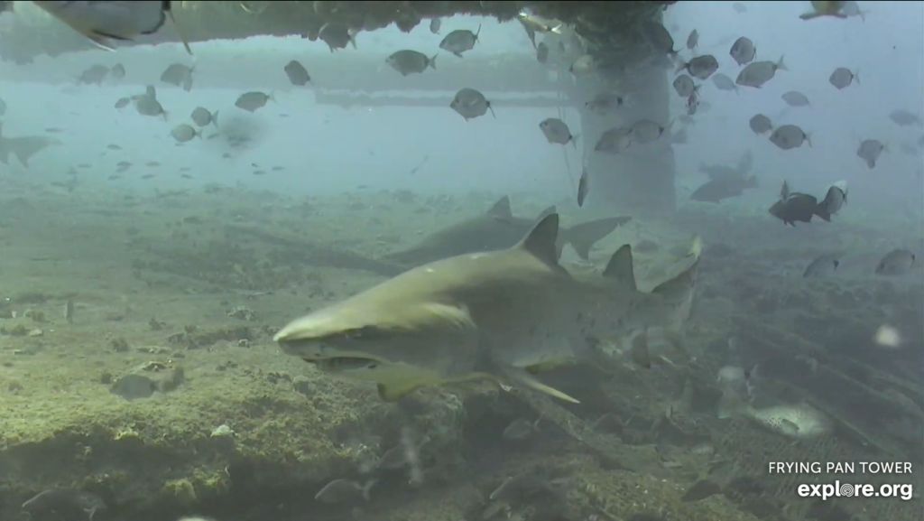 68eabb0f-38d0-4c6c-a115-06552c65067c