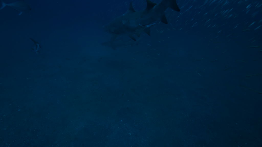 c8d50cb6-d461-4307-8b17-ae6b14707fba