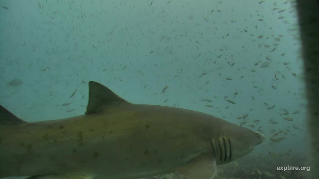 dcc14416-5d80-4309-a674-16b2a756c679