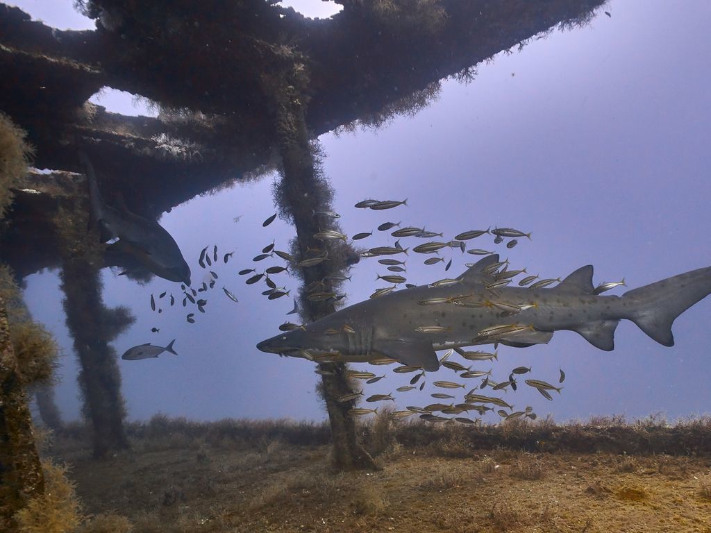 c5e50036-3573-47c4-9378-82467aa0445c