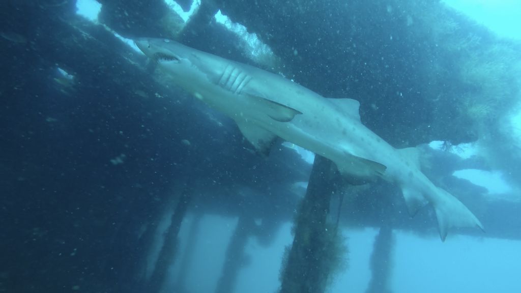 6398177e-6215-453a-abb1-f060dc626a51