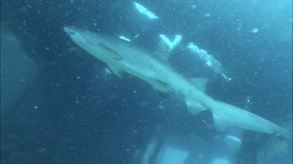 6398177e-6215-453a-abb1-f060dc626a51