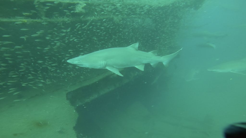 a44a9614-646e-4950-92c6-20153025cad3