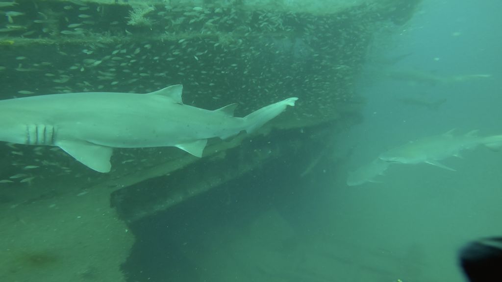 a44a9614-646e-4950-92c6-20153025cad3