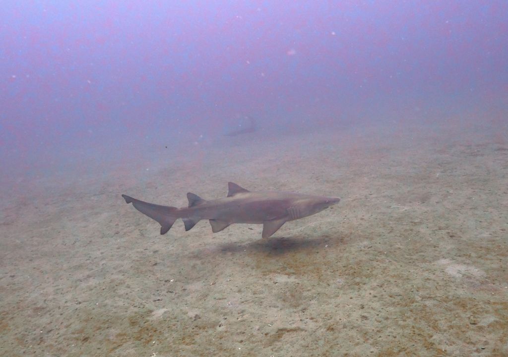 f4ce3b60-f0a7-4bcd-8a0a-115b641e246b