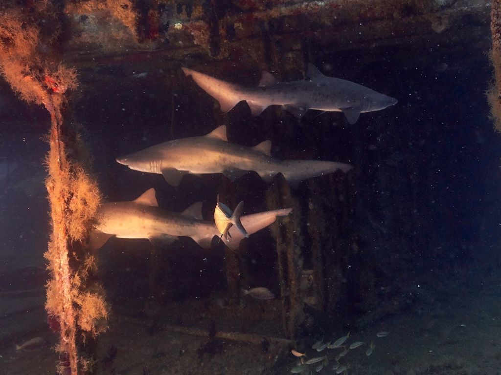 144eb05c-babf-45fa-b904-f65ca8ed55fe