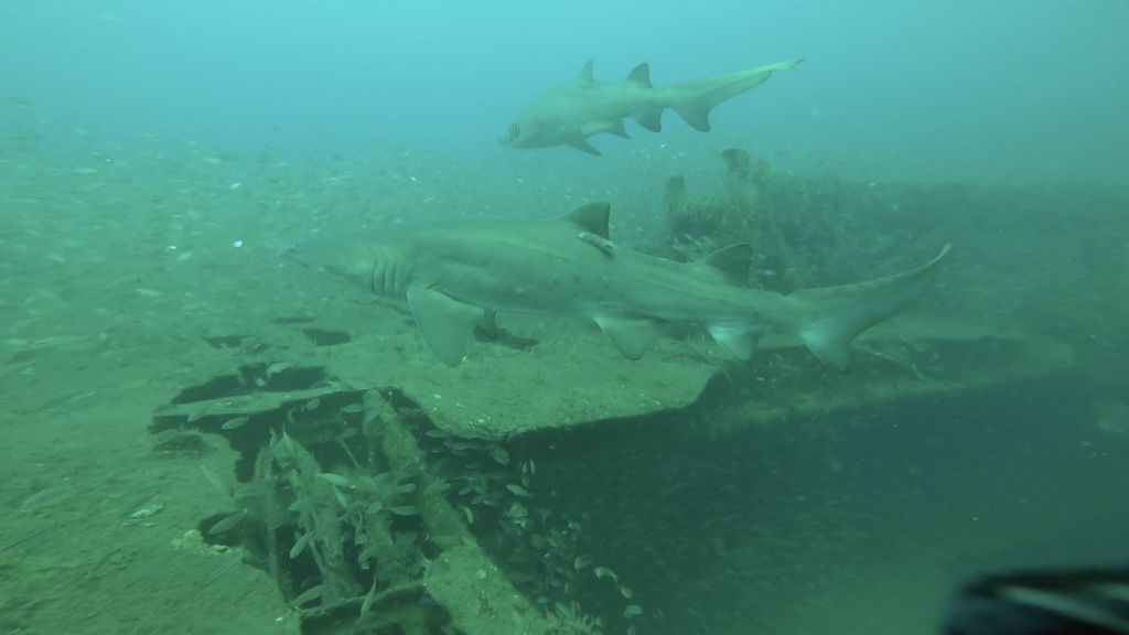 5123b9f5-a2e4-48c2-977c-ed7f6575be0c