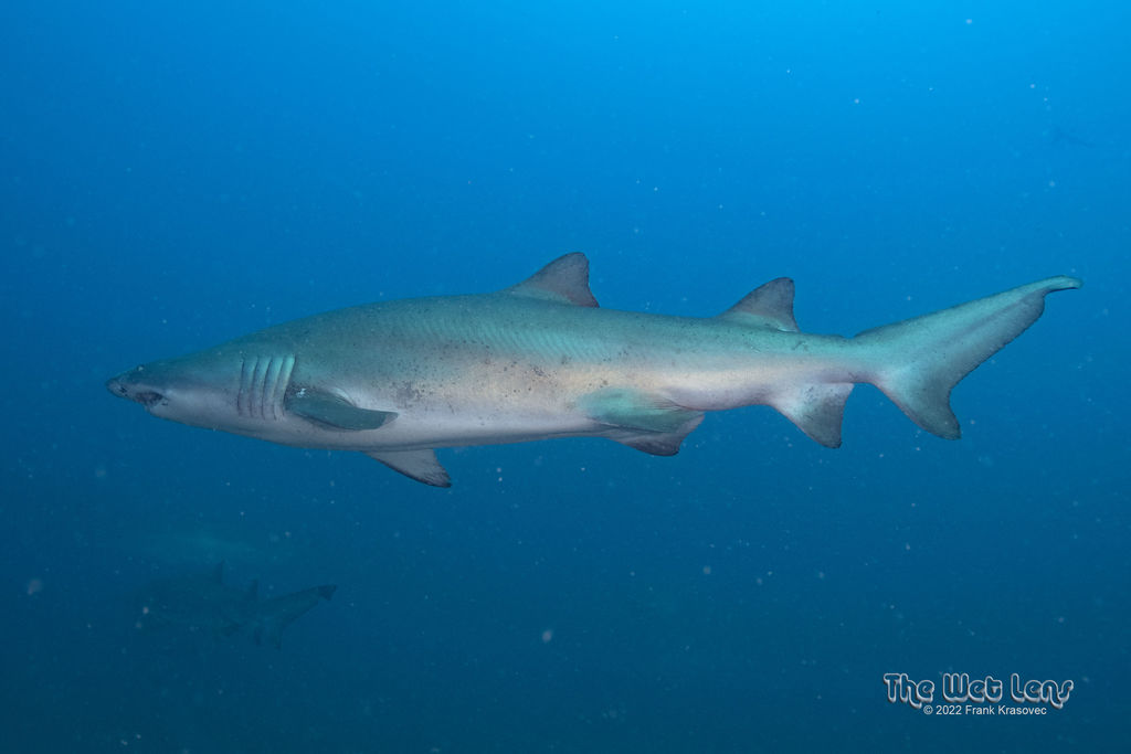 455657f2-9b84-4789-aec3-c856b3af9324