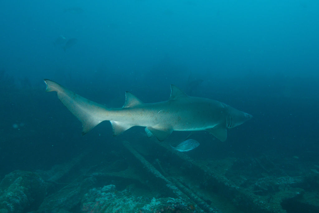 40ef6e32-8f05-4c11-a5d3-d46a78cd6949