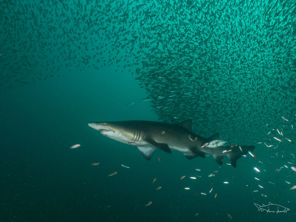 4f70147e-0608-48b2-9e7d-60d5068251be