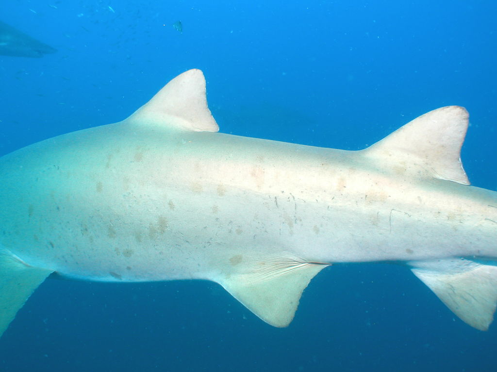 95e290e0-7e2a-4077-a8dc-2ded612e1ef3