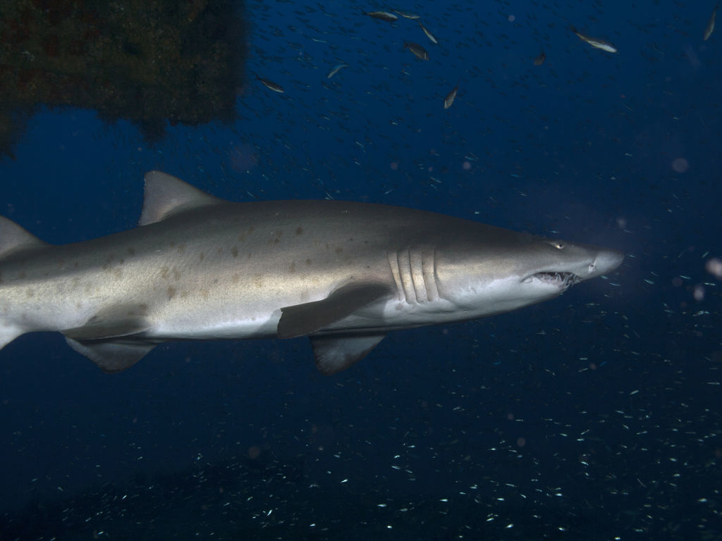 cd1be1a2-f428-49e1-b320-030a5e2375cd