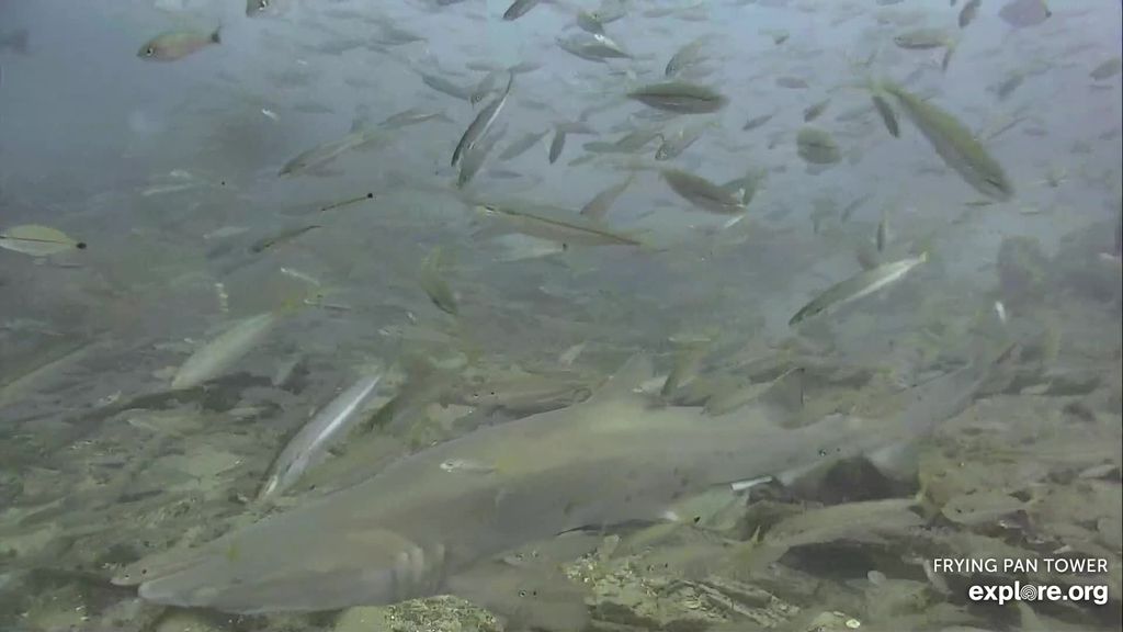 5ab716ac-a564-43d3-ab6f-b4b34de87834