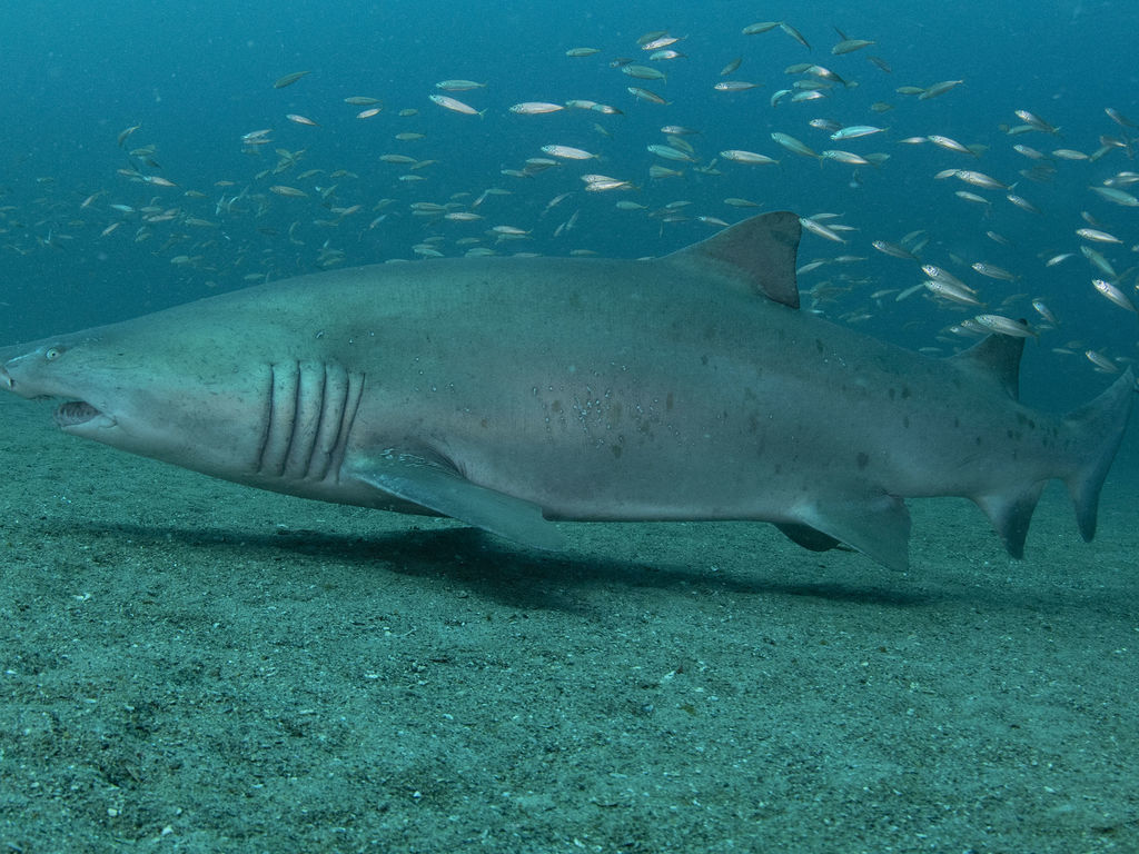 9602d54c-a520-4936-af0b-8753aecd90e8