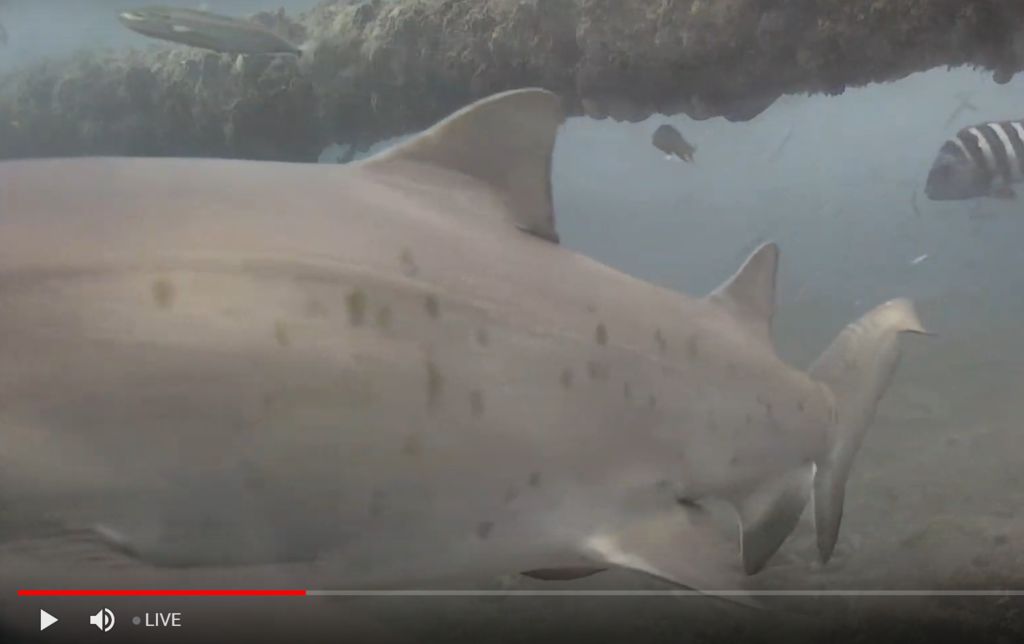 780906f1-6784-4b99-bdfa-0beeeae93293