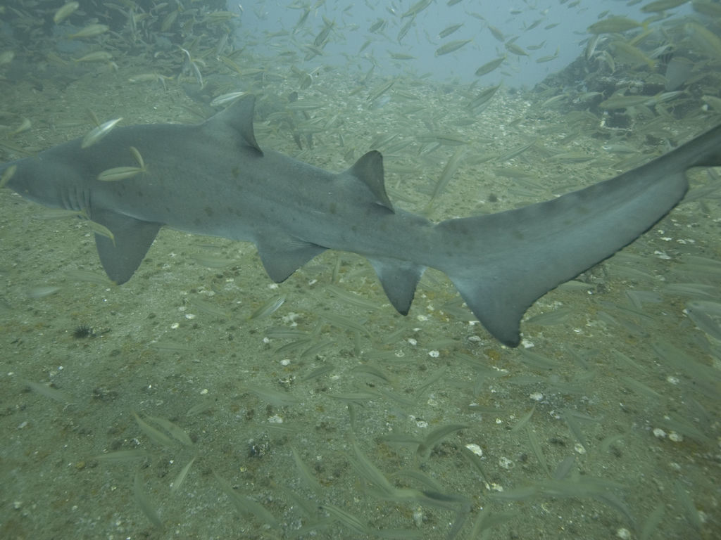 db509d1d-6fb8-4d22-8f67-9124021af9eb