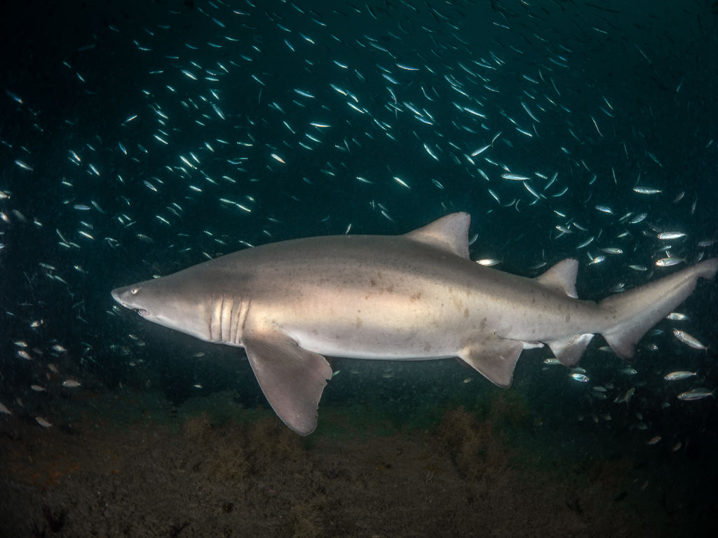 2be69f14-b6ef-4233-a0cb-cff8684f2fb8