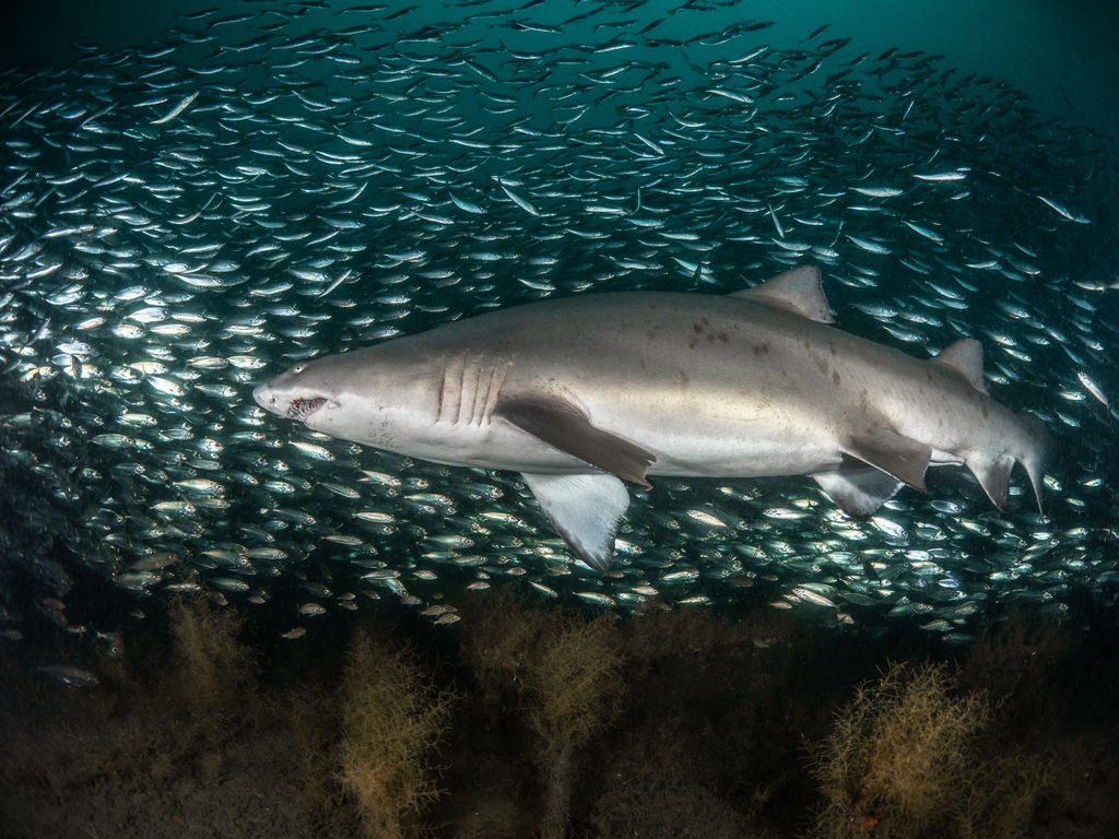 2be69f14-b6ef-4233-a0cb-cff8684f2fb8