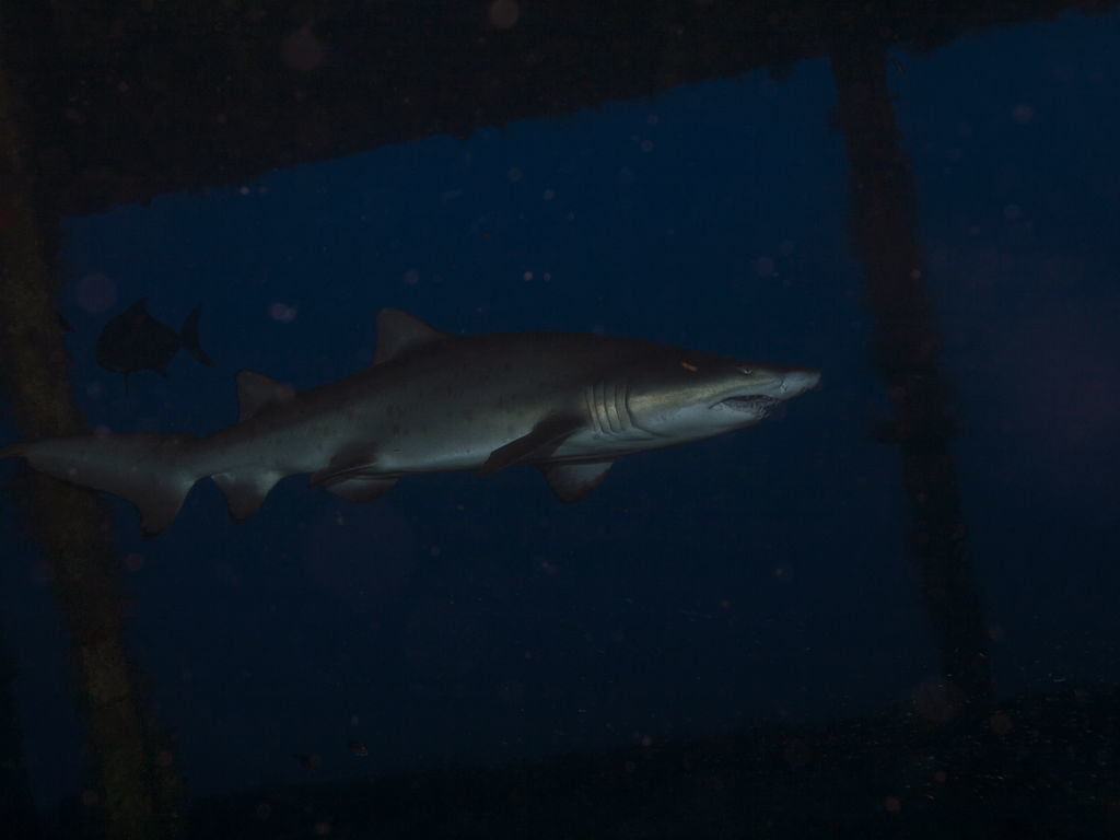 cd1be1a2-f428-49e1-b320-030a5e2375cd