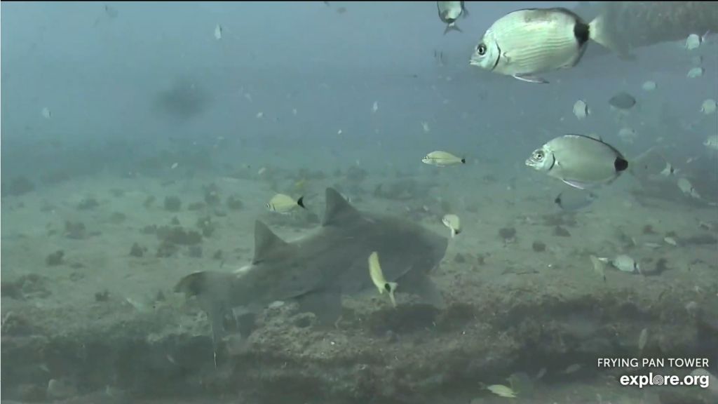 b7ed815c-64e5-47fa-b89f-de5a93688723