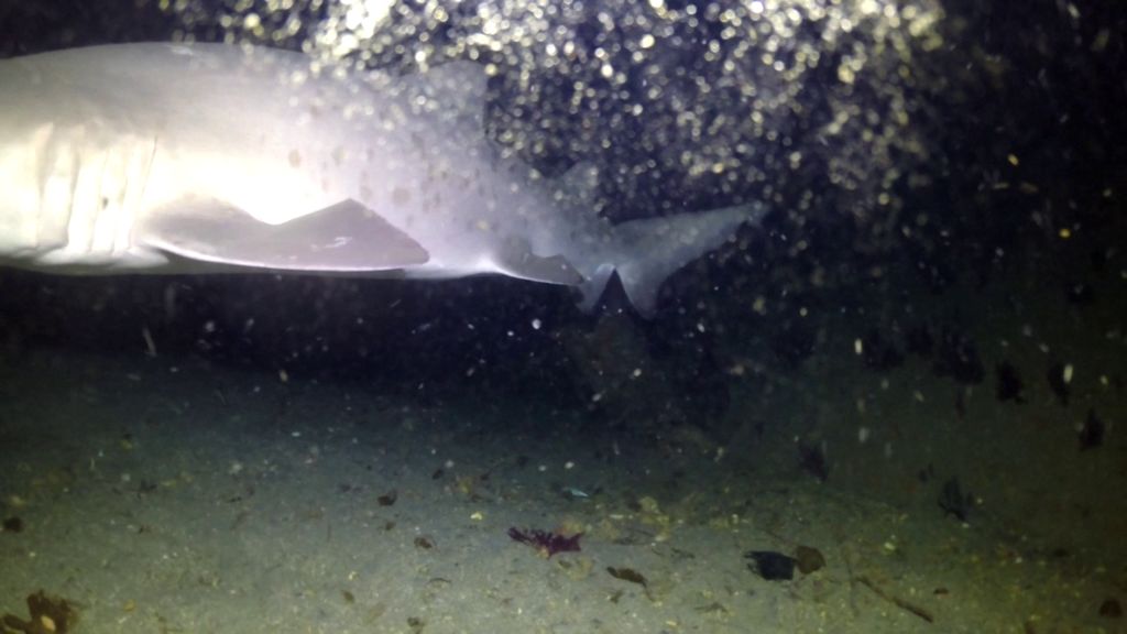 178068e6-7e34-4cce-b114-f9dbb3badcbf