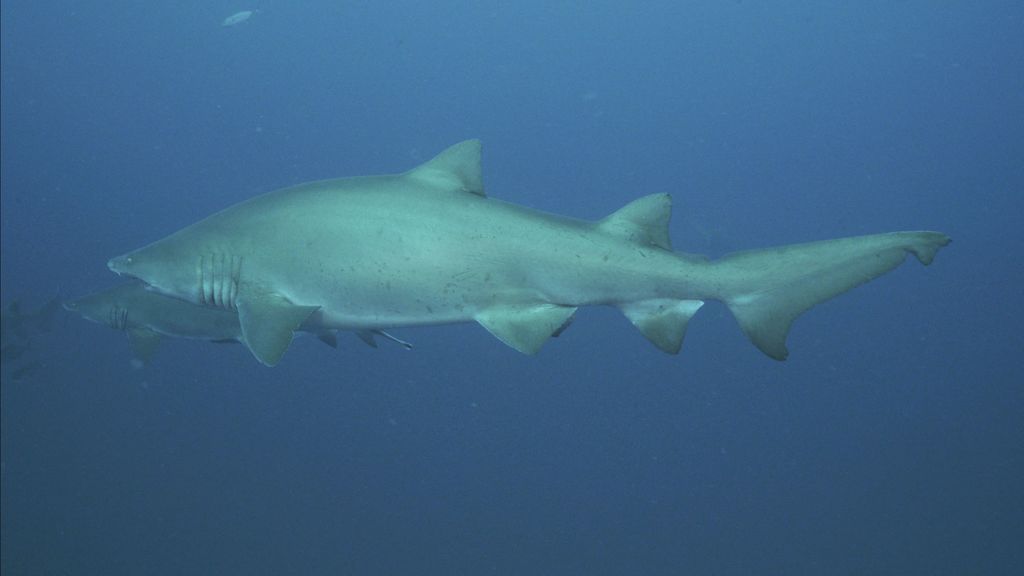 cdd522d8-86ee-4353-8360-ede41b5af201