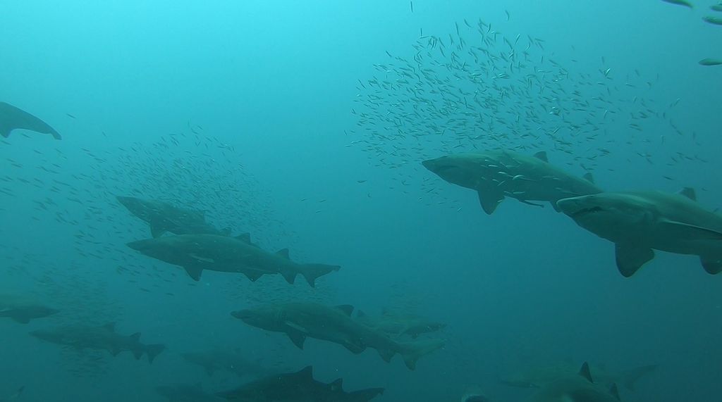 88621704-e015-4685-b97b-3a990acbb01e