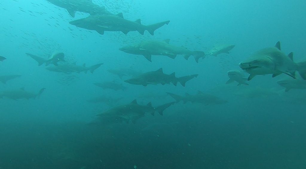 88621704-e015-4685-b97b-3a990acbb01e