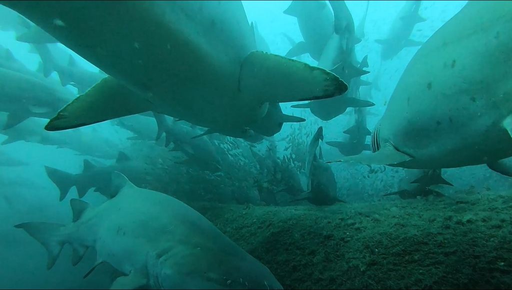 7ca44fa8-95d3-4ec3-beba-6da40fd230b9