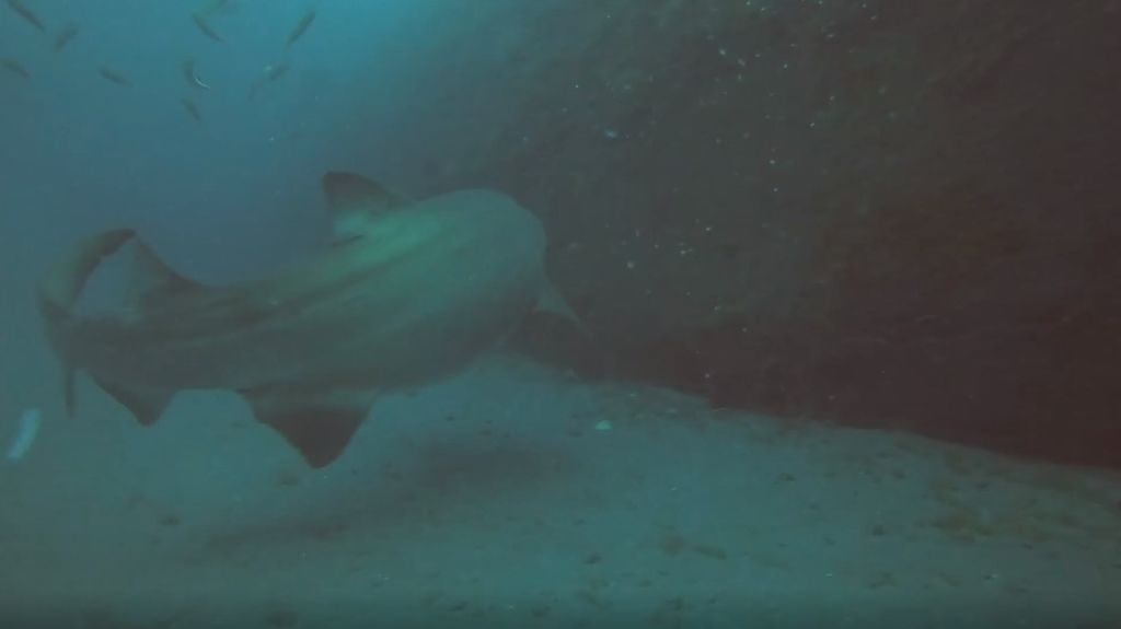 536ddd5f-9326-4057-907b-847f87cdb10b