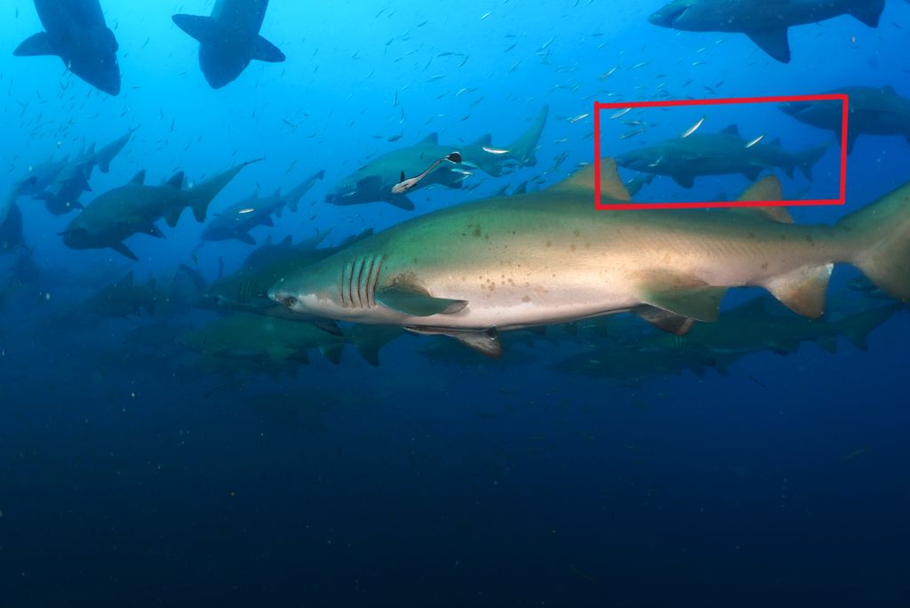 dd516542-b5ab-4e48-be8b-f944b1bcec37