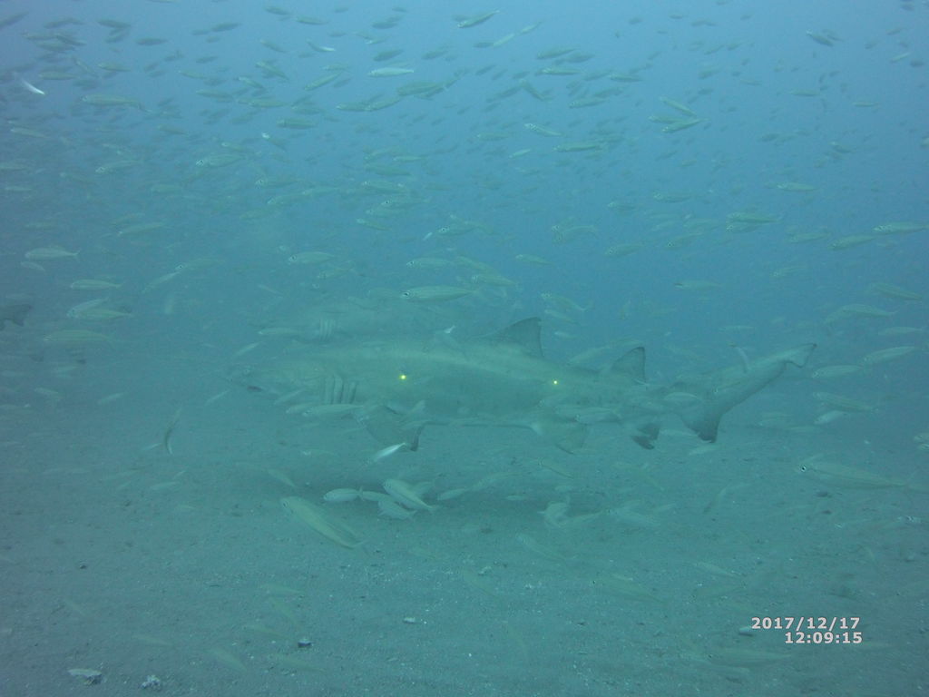 f66d6410-00fb-45ca-9665-5836d86a2b87