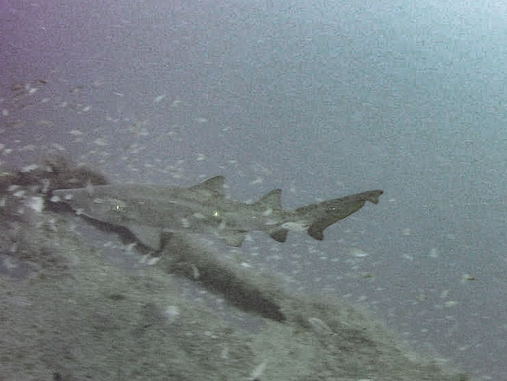 4eaa0d19-ad74-4bb6-826c-fdb794f72445