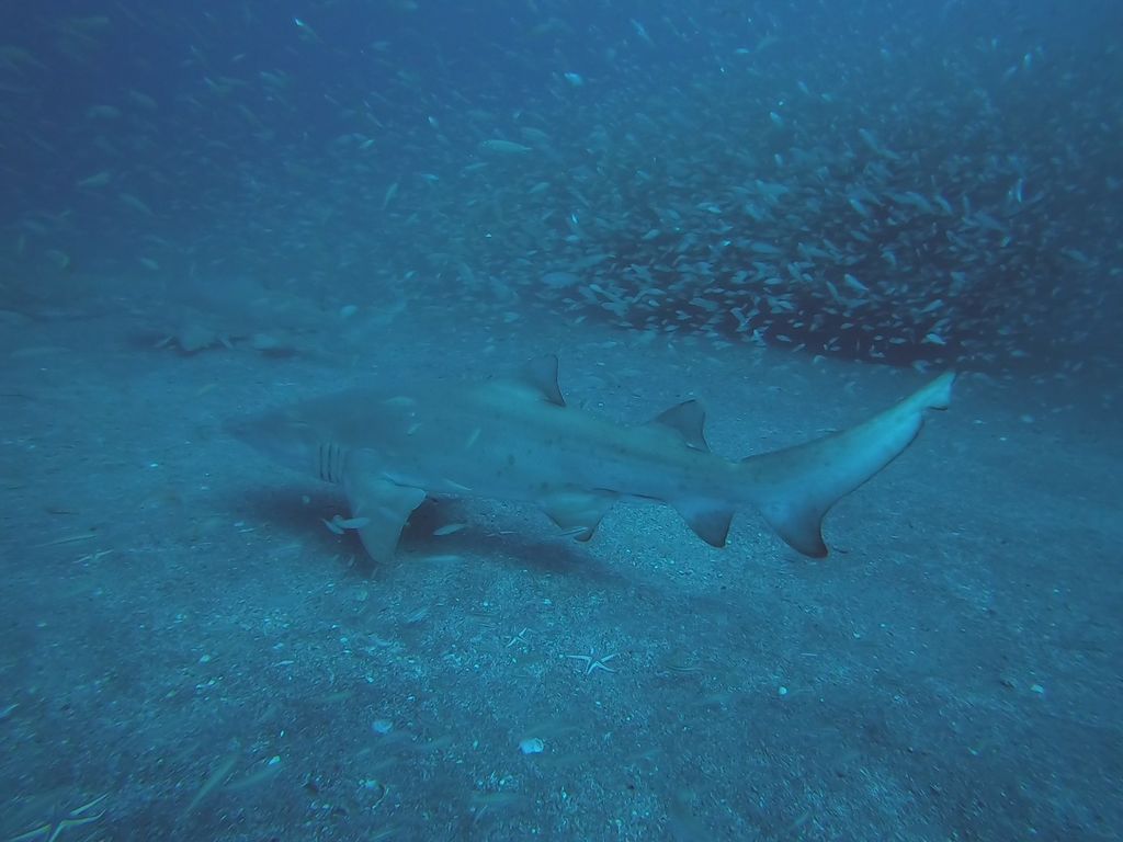 78c9dd04-4d9e-4117-a9f6-e8ca2fba88d4