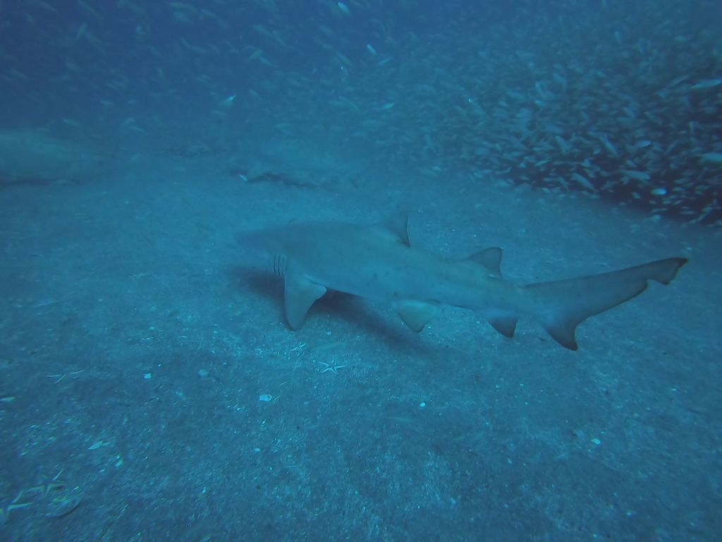 78c9dd04-4d9e-4117-a9f6-e8ca2fba88d4