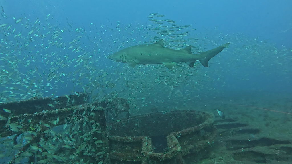 01be8cfb-e168-4598-b76b-2a7a856c8087