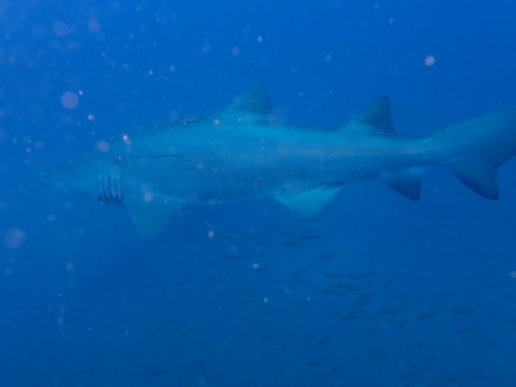 b333619f-2ba7-4cd3-acff-bc15da45975d