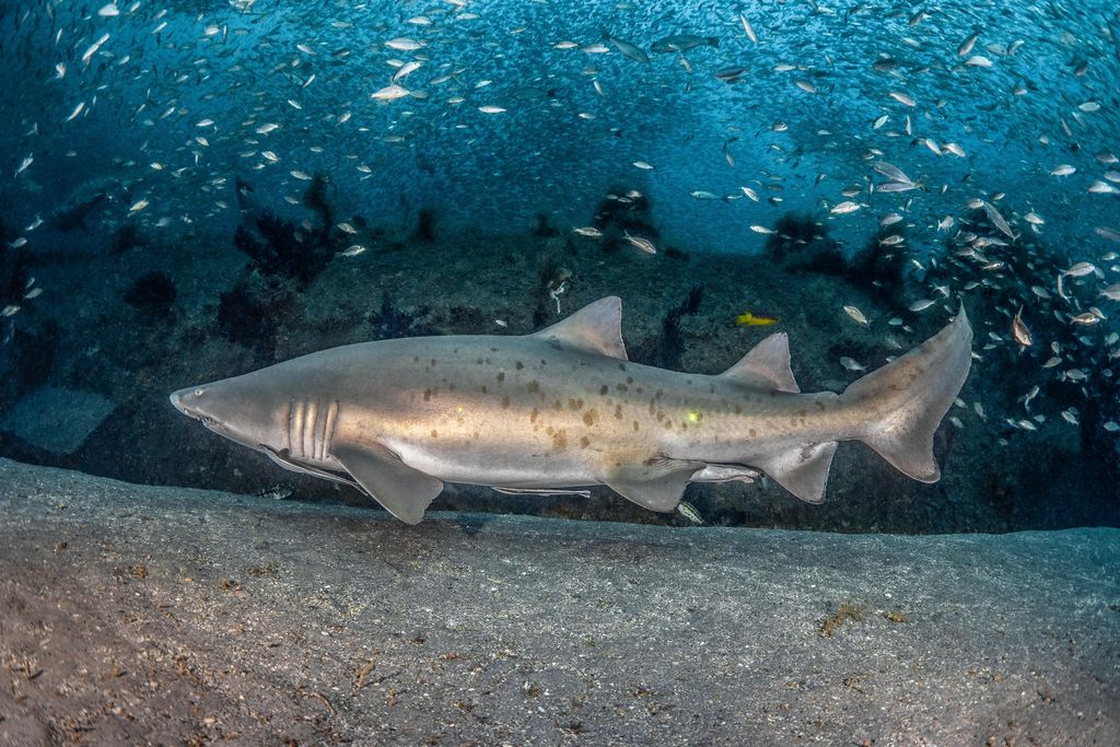 9da9467f-5a48-42be-ba72-acd1c7b0bec9