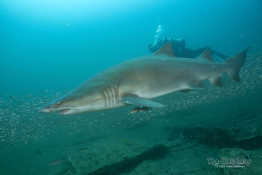 b38aa865-d134-49f4-b407-0dc595b39b09