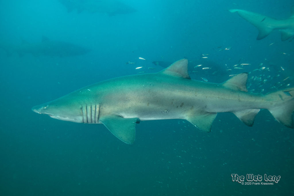 fd216c26-c82c-4533-8e72-cac156b7082b