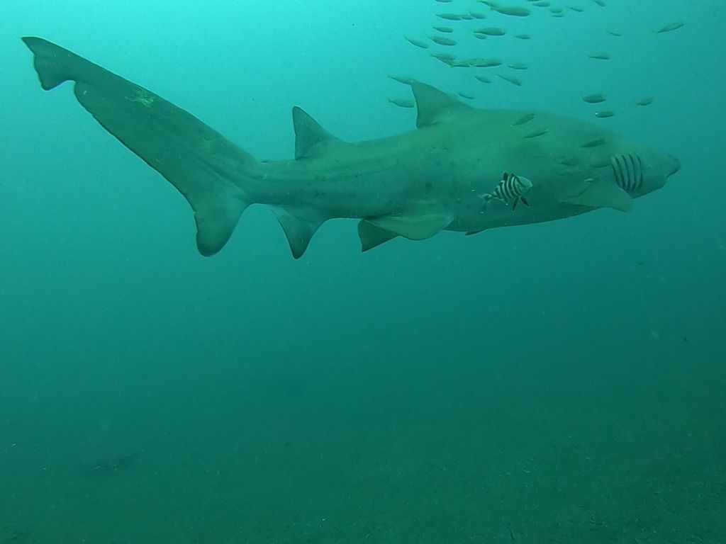 abaabe54-bfe2-43e0-8a7e-71d060fc640c