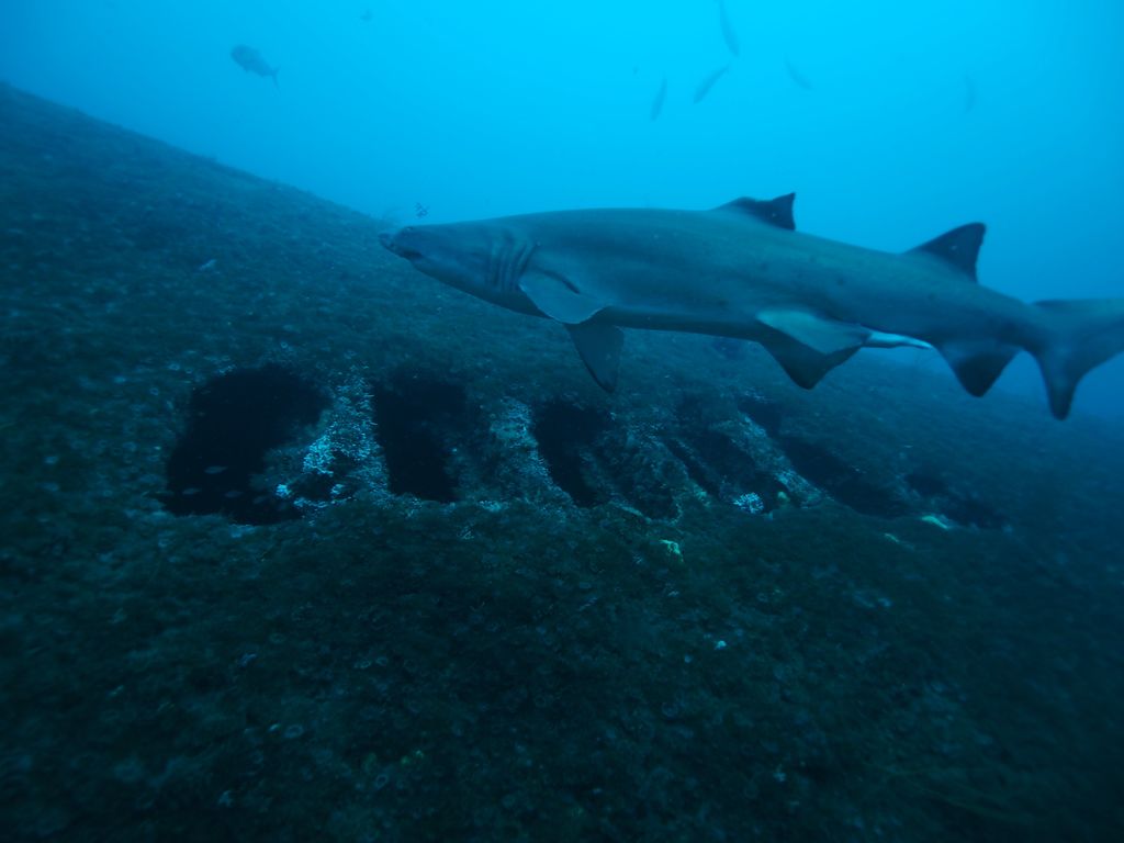 cb66397d-ac3e-4f78-9fed-3a4ca4bd92c2