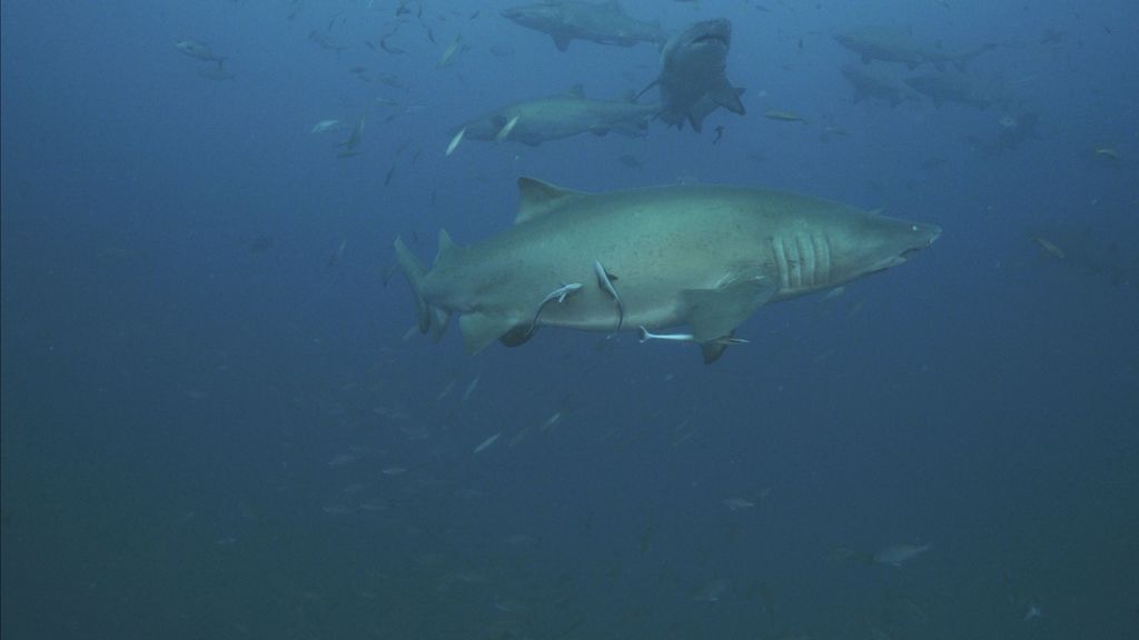 fb9e9dc5-c90b-43e8-bc45-7416bafe6aea