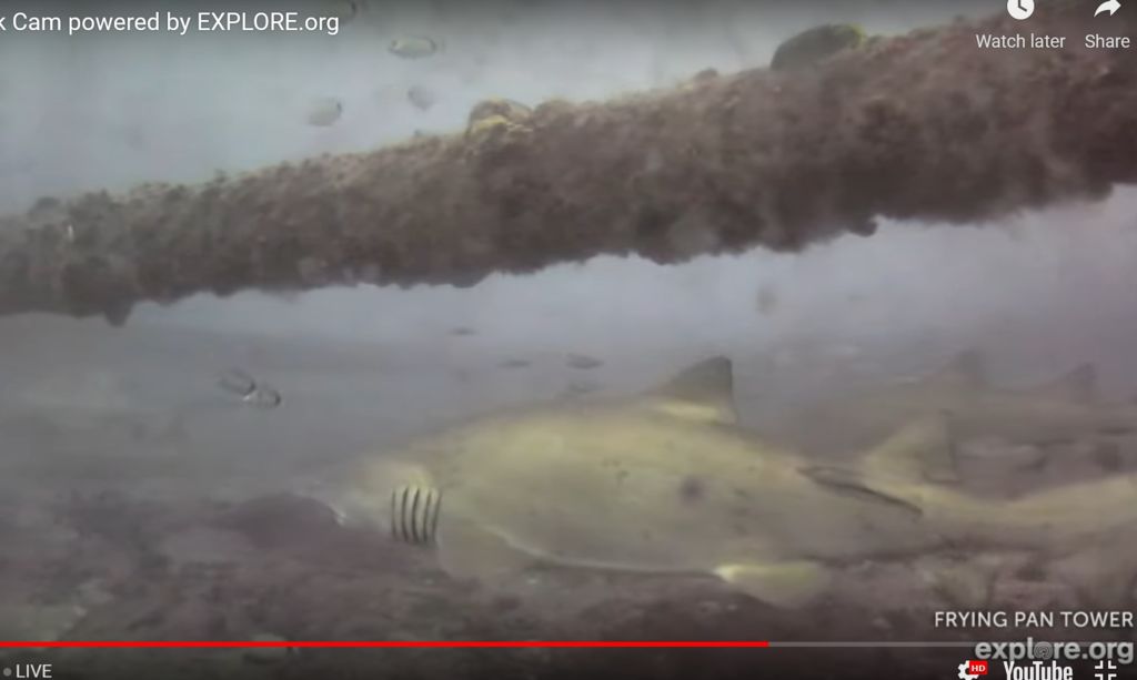 bafdaec4-1bd2-4e6e-a178-1795916fb961