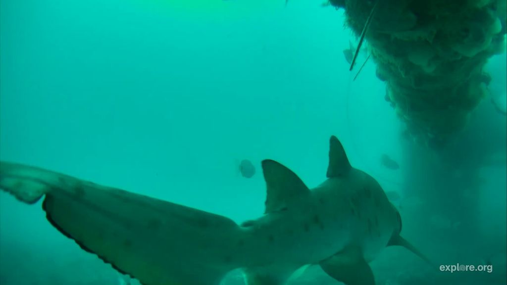 134bf251-8537-4bb6-a32b-ab735d03da67