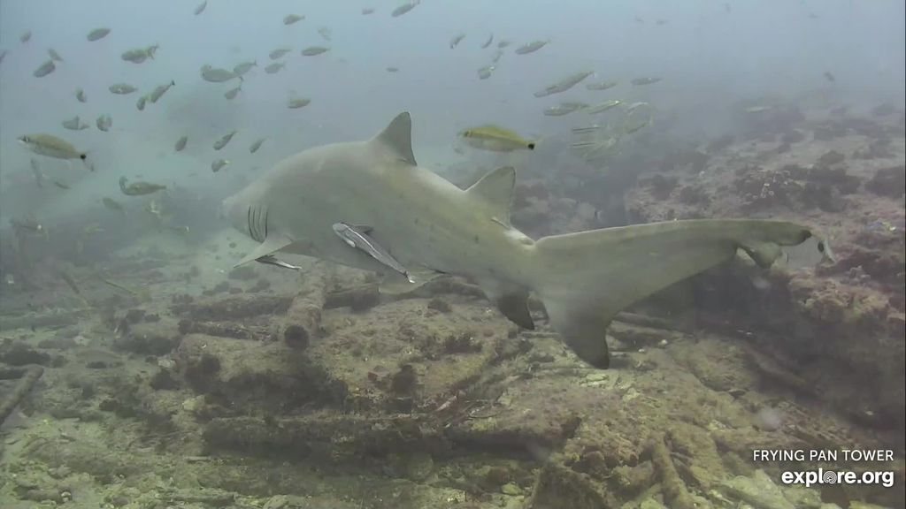 30ba8278-9c94-4408-9769-d01f594e39fd