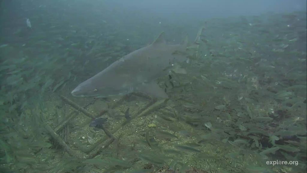 e8b05265-0c45-40db-b384-4f2fb55838f8